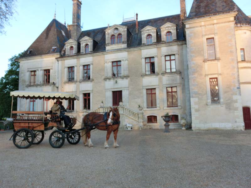 Château de la Mezière_41360 LUNAY_2